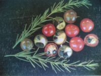 Spargelbeeren